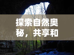 (萌宠西游2024年激活码最新)萌宠西游2024年激活码解析，新篇章开启，畅游西游世界