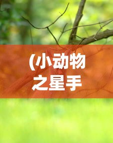 (侠客少年行手游)侠客少年行攻略大全，深度解析与常见问题解答