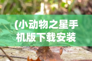 (侠客少年行手游)侠客少年行攻略大全，深度解析与常见问题解答