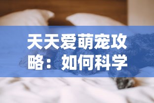 (三国之仙武系统)三国之仙武降临，探秘奇幻与历史的交融
