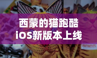 (牌师有没有单机破解版)牌师单机版深度解析，多元化视角下的游戏分析与常见问答