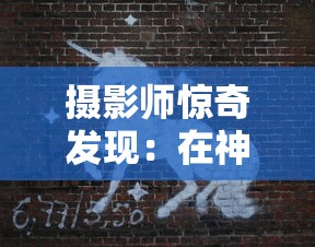 (青鸾繁华录4399小游戏兑换码)青鸾繁华录是一款深受玩家喜爱的4399小游戏，自上线以来，凭借其丰富的剧情、精美的画面和独特的玩法，吸引了大量玩家。本文将围绕青鸾繁华录进行深入分析，探讨其多元化方向，并提出相关问题。