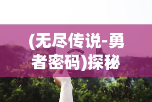 (心之归途冒险者试炼光之审判长)心之归途冒险者试炼，一场心灵的旅程