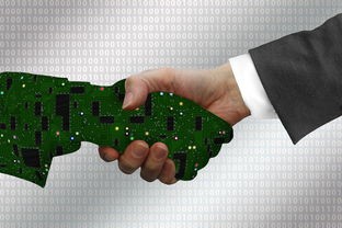 (家园异星与猎人测试服怎么进)家园异星与猎人测试服补充内容解析，多元化视角下的游戏解读