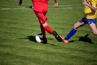 (本源军团哪个武将最强大)本源军团最强武将解析，多维度的分析与探讨