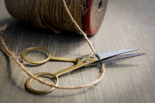 (御龙在天手游内部号申请入口)御龙在天手游内部号深度解析,权益、影响与常见问题解答 (御龙在天手游内部号申请入口)御龙在天手游内部号深度解析,权益、影响与常见问题解答