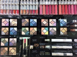 (安尼姆的无尽旅途装备寻回可以自己打吗?)安尼姆无尽旅途装备寻回补充内容解析 (安尼姆的无尽旅途装备寻回可以自己打吗?)安尼姆无尽旅途装备寻回补充内容解析