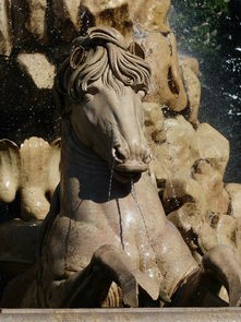 (骑士冲鸭)骑士冲呀论坛补充内容解析,多元化分析与常见问答