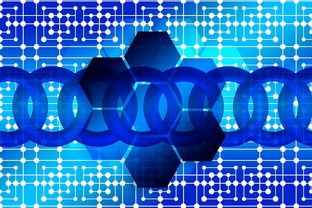 (赏金勇者传世绿色版下载)赏金勇者传世绿色版作为一款深受玩家喜爱的角色扮演游戏，凭借其丰富的剧情、精美的画面和独特的玩法，吸引了众多玩家。本文将从多个角度对这款游戏进行分析介绍，并提出一些常见问题，同时附上参考文献。