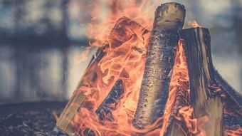 (谋定天下唐诚全文免费阅读1288章)谋定天下唐诚全文免费阅读补充内容分析