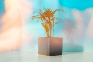 (像素射击模拟器,打僵尸)像素射击模拟器的多元化分析与探讨