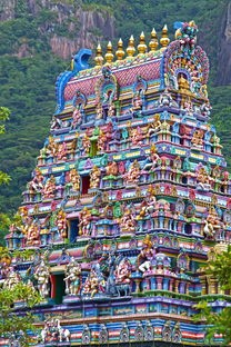 (天启行动什么时候上线?)天启行动上线补充内容解析，多元化角度分析与常见问答