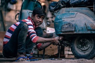 (巴甫洛夫很忙课外阅读)巴甫洛夫很忙——阅读理解与深度分析 (巴甫洛夫很忙课外阅读)巴甫洛夫很忙——阅读理解与深度分析