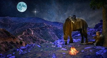 (精灵世界灭绝破解版)精灵世界的灭绝,一场生态悲剧的启示 (精灵世界灭绝破解版)精灵世界的灭绝,一场生态悲剧的启示