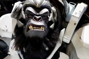 (功夫之夜攻略图文)探秘功夫之夜攻略,多元化分析及常见问答