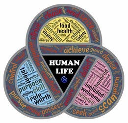 (魔境迷宫大冒险最新攻略大全)魔境迷宫大冒险最新攻略解析与常见问题解答