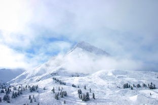 (碧雪情天单机版 技能树)碧雪情天单机版，穿越时空的武侠之旅